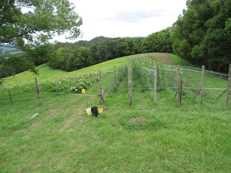 222 Tyalgum Road, Eungella NSW 2484