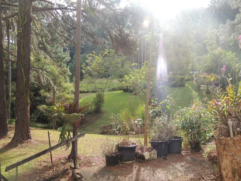 649 Tomewin Road, Tomewin NSW 2484