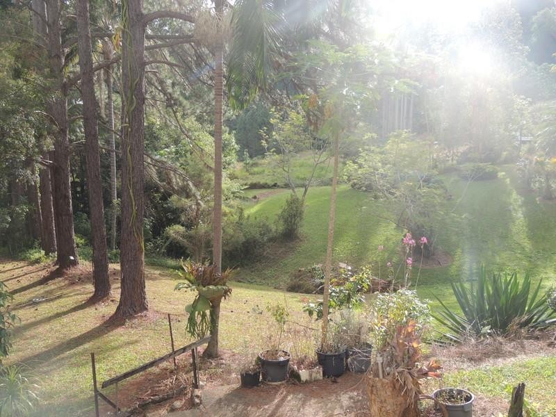 649 Tomewin Road, Tomewin NSW 2484