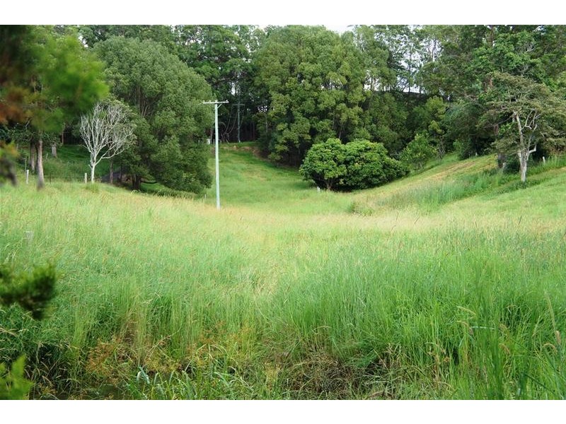 Murwillumbah NSW 2484