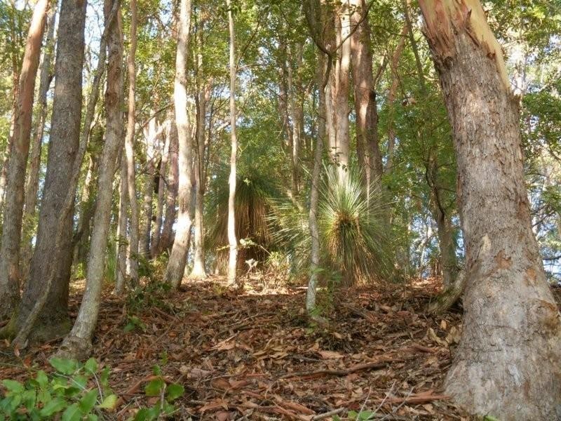 Lot 7 Jowetts Road, Burringbar NSW 2483