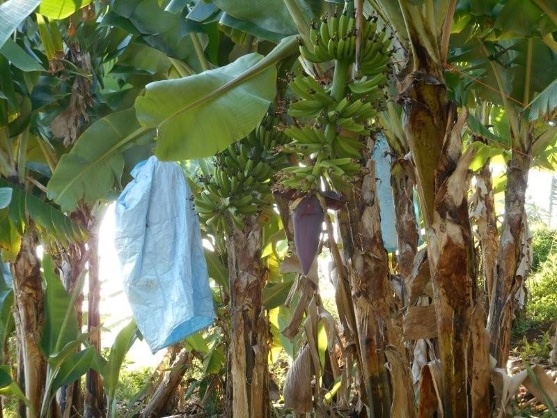 Lot 7 Jowetts Road, Burringbar NSW 2483