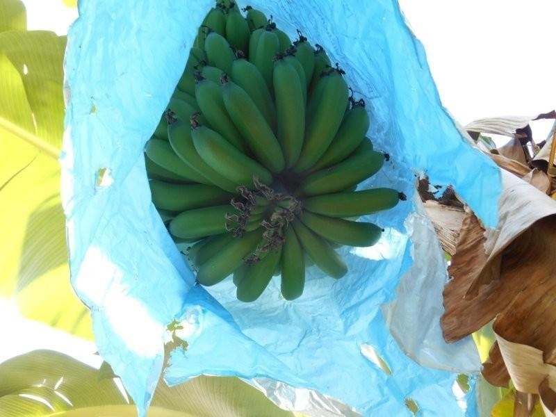 Lot 7 Jowetts Road, Burringbar NSW 2483