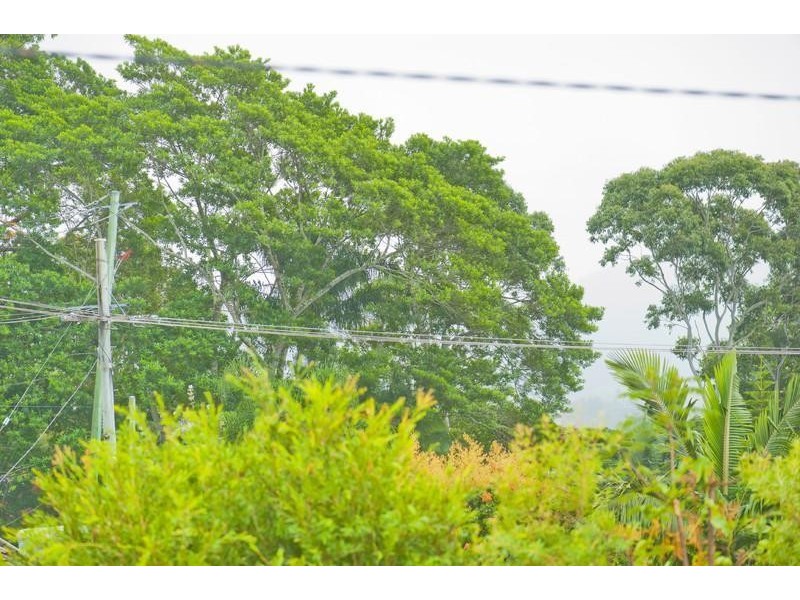 1 Linden Court, Murwillumbah NSW 2484