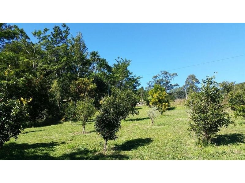 132 Nightcap Road, Doon Doon NSW 2484