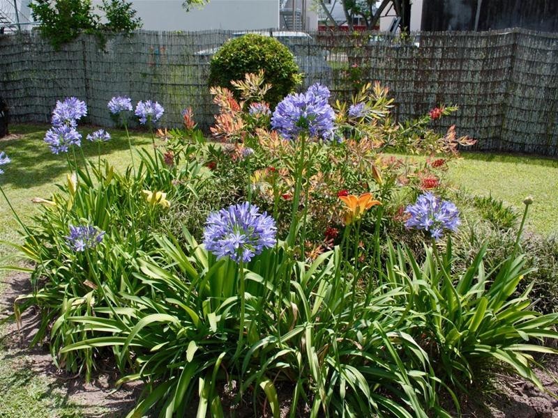 11 Prince Street, Murwillumbah NSW 2484