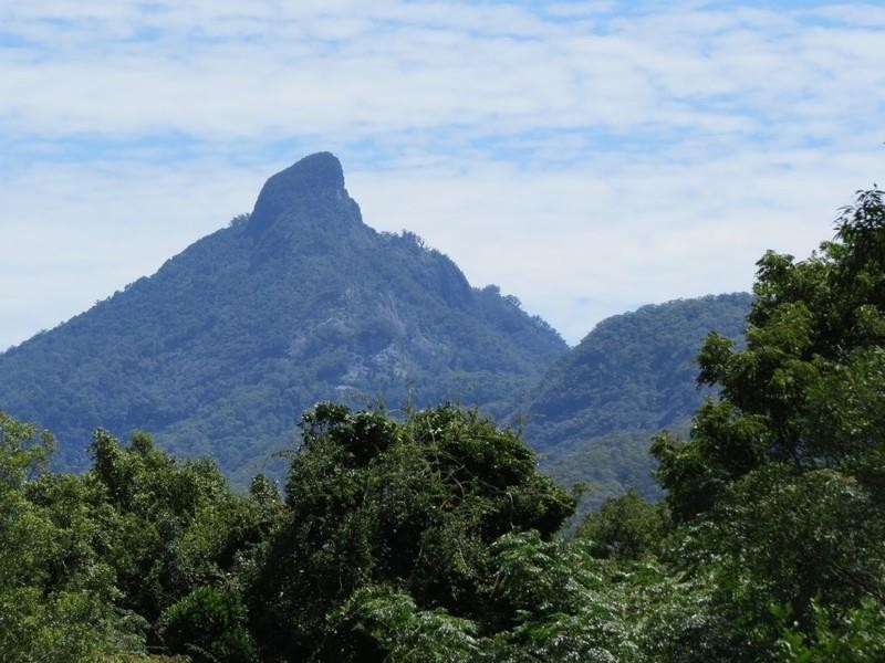 913 Kyogle Road, Uki NSW 2484