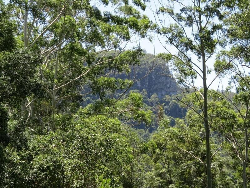 913 Kyogle Road, Uki NSW 2484