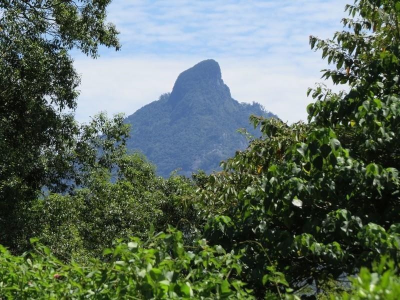 913 Kyogle Road, Uki NSW 2484