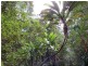 Lot 2 261 Mount Warning Road, Mount Warning NSW 2484