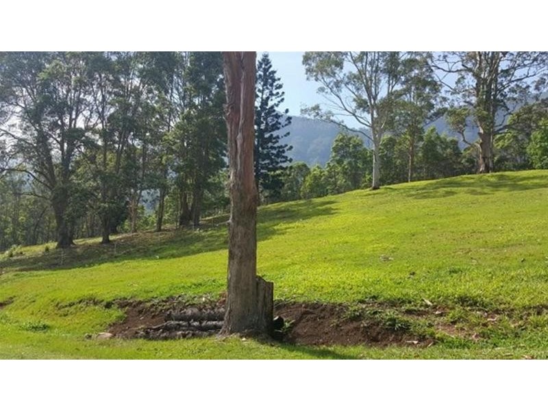 241 Mount Burrell, Mount Burrell NSW 2484