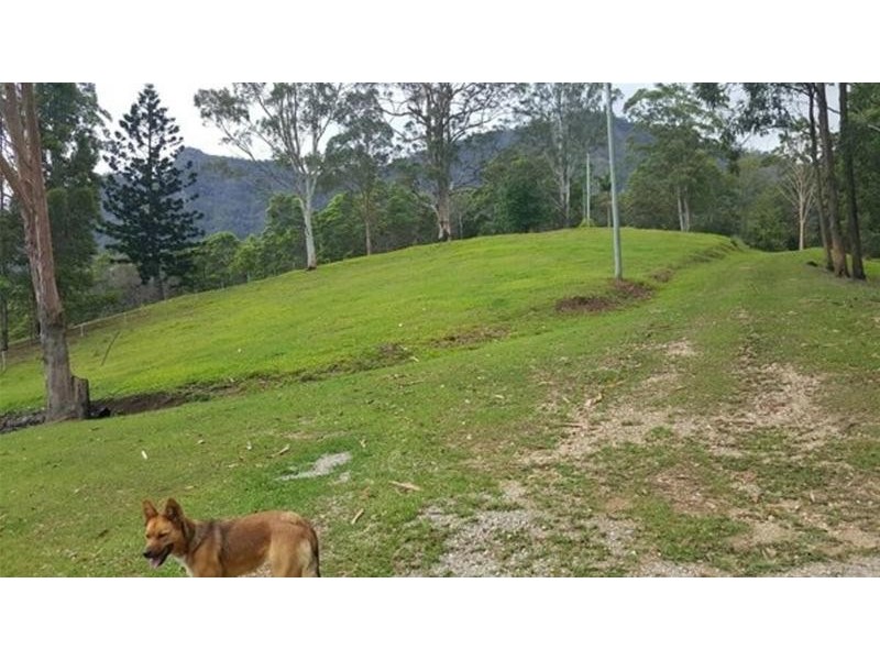 241 Mount Burrell, Mount Burrell NSW 2484