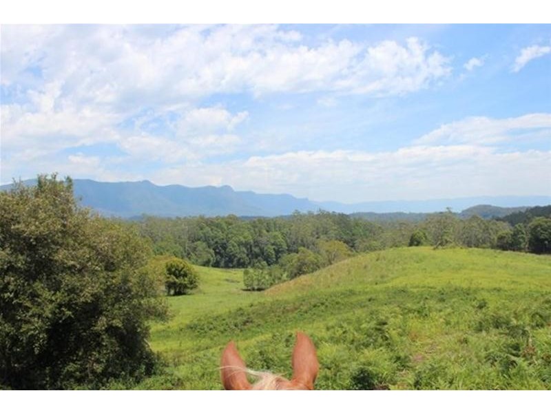 241 Mount Burrell, Mount Burrell NSW 2484