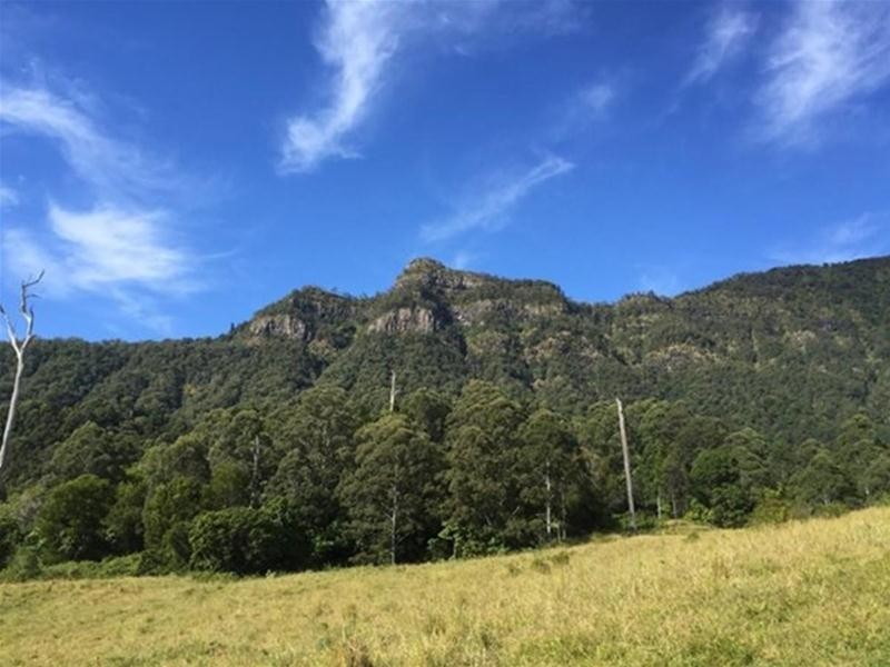 241 Mount Burrell, Mount Burrell NSW 2484