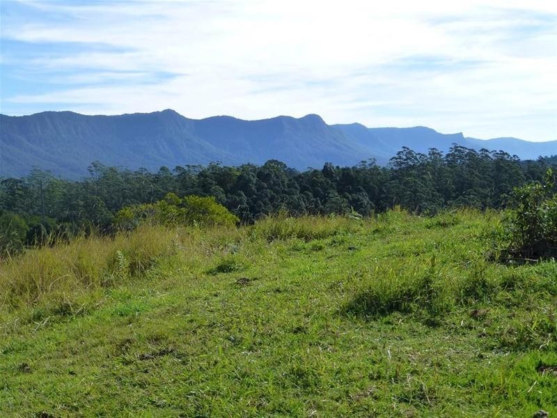 241 Mount Burrell, Mount Burrell NSW 2484