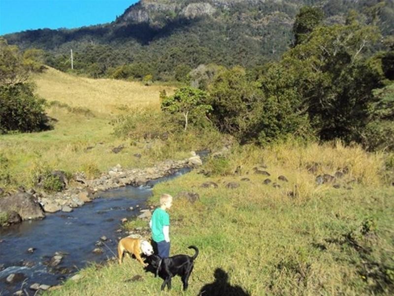 241 Mount Burrell, Mount Burrell NSW 2484