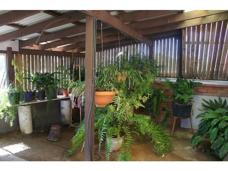 10 Bagoo Avenue, Murwillumbah NSW 2484