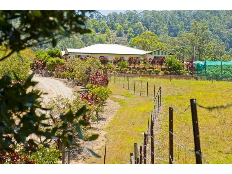 293 Upper Crystal Creek Road, Upper Crystal Creek NSW 2484