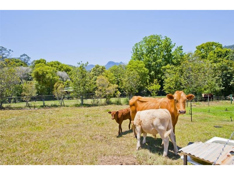 293 Upper Crystal Creek Road, Upper Crystal Creek NSW 2484