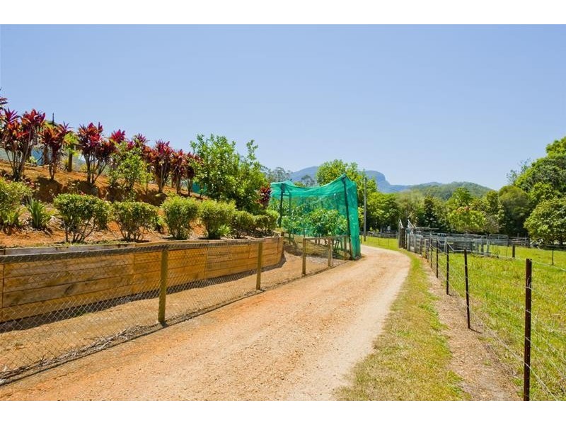 293 Upper Crystal Creek Road, Upper Crystal Creek NSW 2484