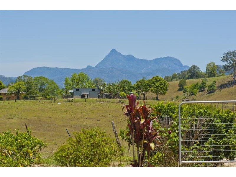 293 Upper Crystal Creek Road, Upper Crystal Creek NSW 2484