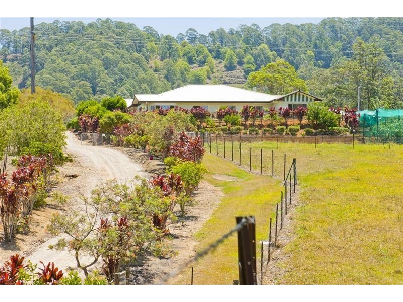 293 Upper Crystal Creek Road, Upper Crystal Creek NSW 2484