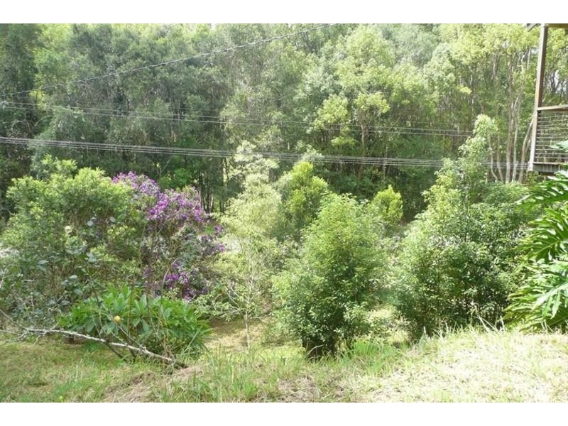 70 Smiths Creek Road, Uki NSW 2484