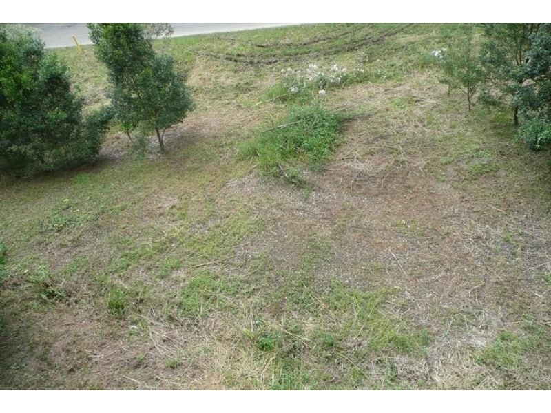 70 Smiths Creek Road, Uki NSW 2484