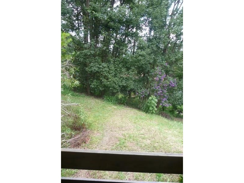 70 Smiths Creek Road, Uki NSW 2484