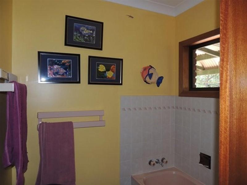 1192 Numinbah Road, Chillingham NSW 2484