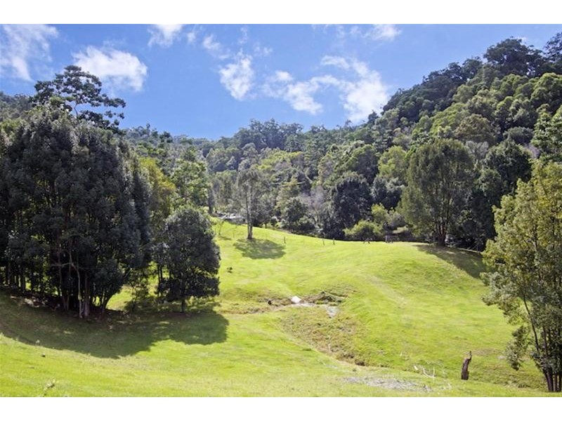 1192 Numinbah Road, Chillingham NSW 2484