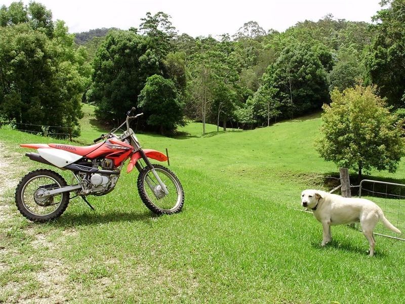 1192 Numinbah Road, Chillingham NSW 2484