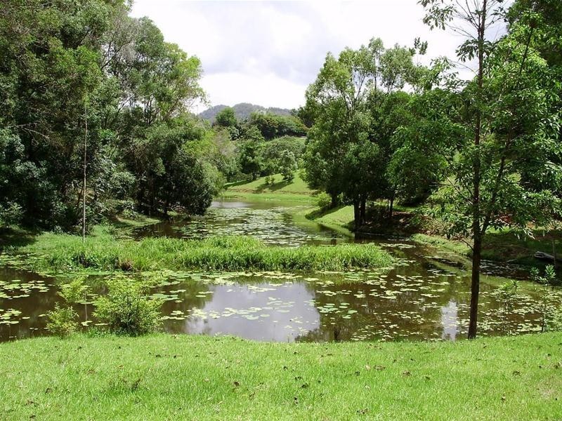 1192 Numinbah Road, Chillingham NSW 2484