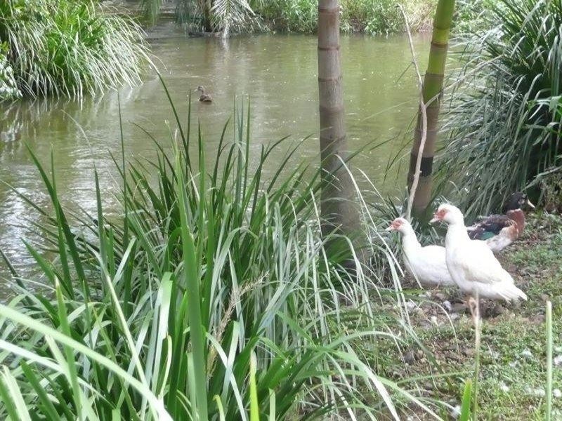 226 Stokers Road, Stokers Siding NSW 2484