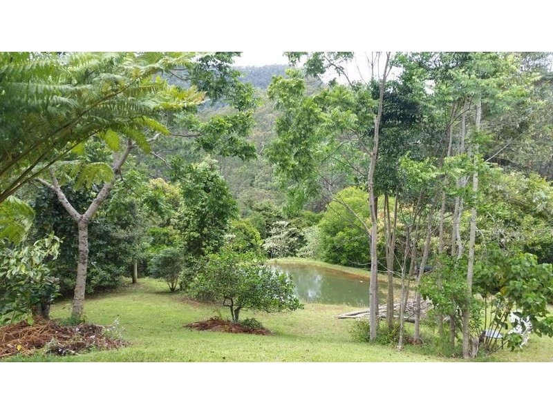37 Hidden Valley Road, Eungella NSW 2484