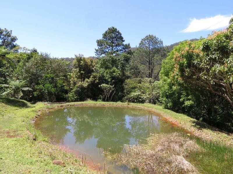 37 Hidden Valley Road, Eungella NSW 2484