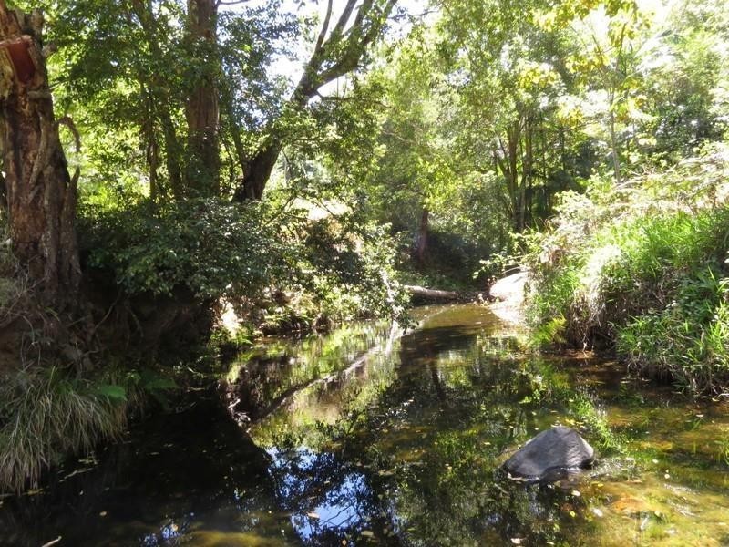 37 Hidden Valley Road, Eungella NSW 2484