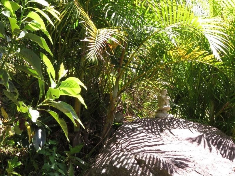 37 Hidden Valley Road, Eungella NSW 2484