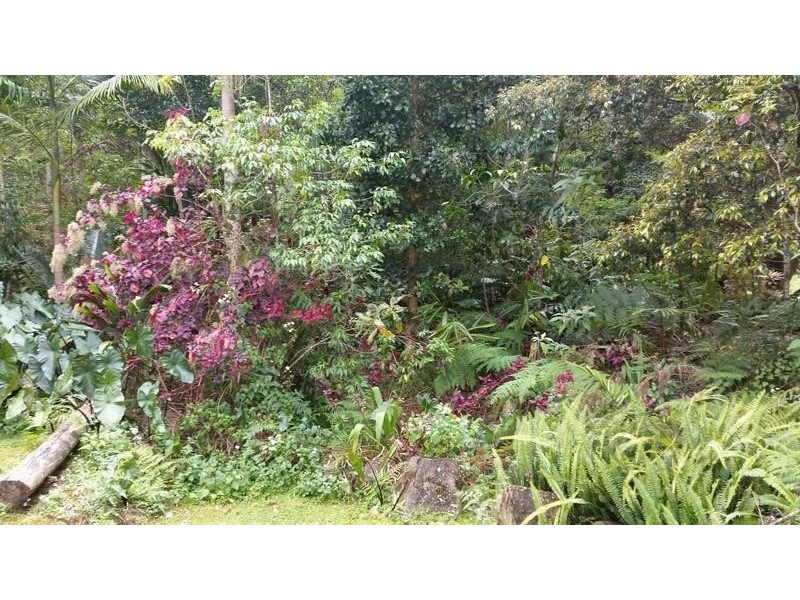 37 Hidden Valley Road, Eungella NSW 2484