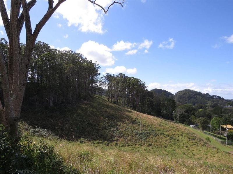 44 Station Street, Burringbar NSW 2483