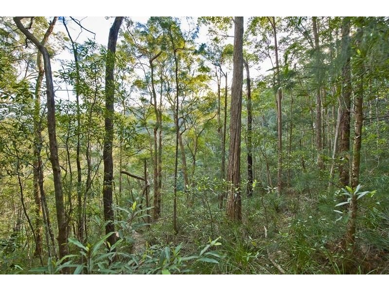 790 Upper Burringbar Road, Burringbar NSW 2483