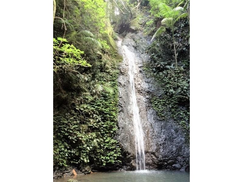 790 Upper Burringbar Road, Burringbar NSW 2483