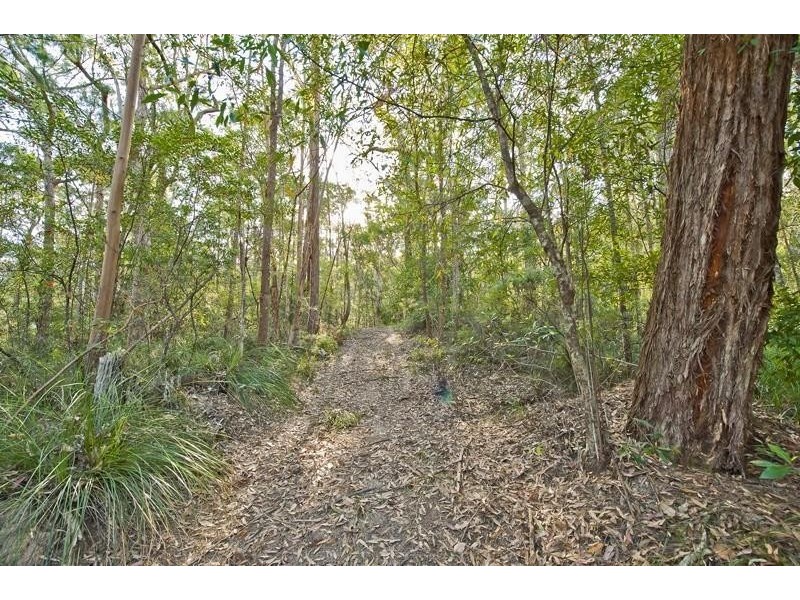 790 Upper Burringbar Road, Burringbar NSW 2483