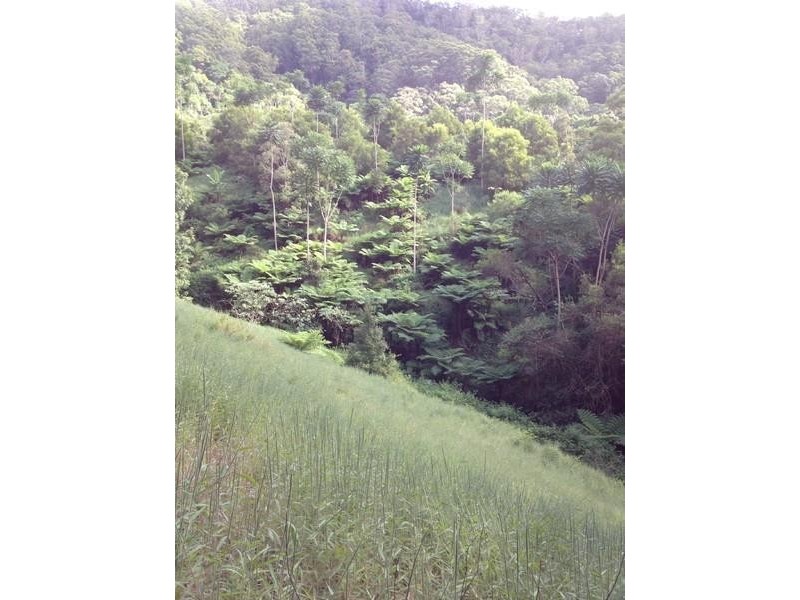 790 Upper Burringbar Road, Burringbar NSW 2483