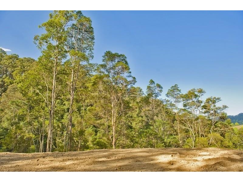 790 Upper Burringbar Road, Burringbar NSW 2483