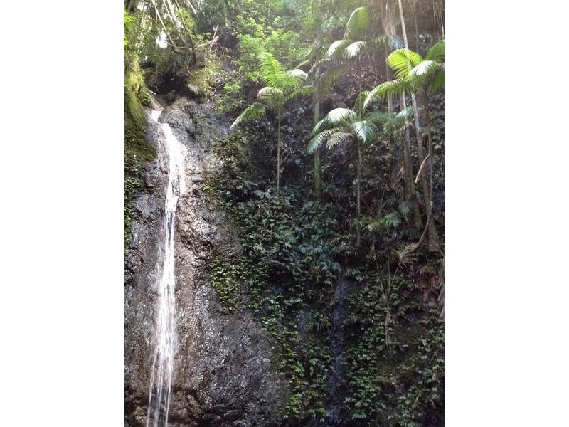 790 Upper Burringbar Road, Burringbar NSW 2483