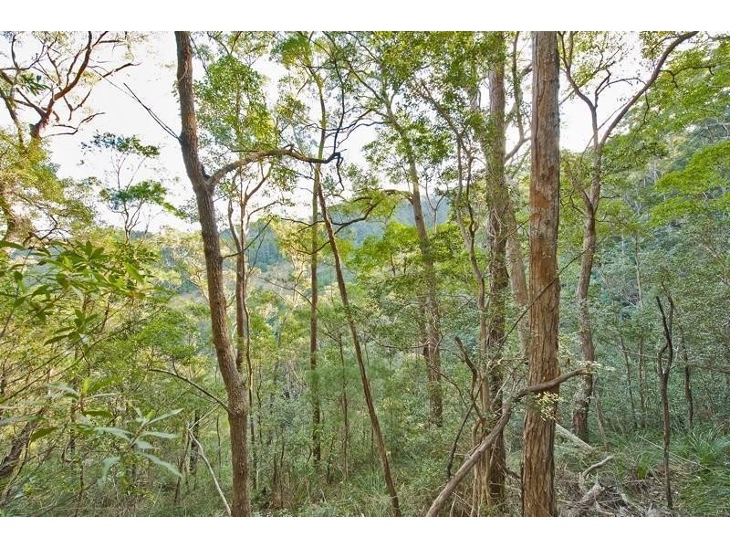 790 Upper Burringbar Road, Burringbar NSW 2483