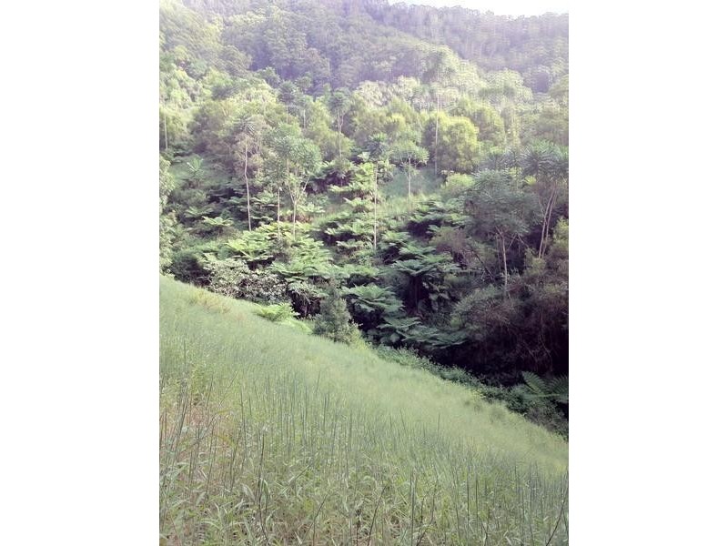 790 Upper Burringbar Road, Burringbar NSW 2483