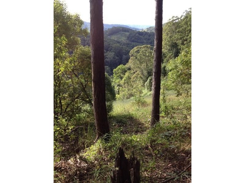 790 Upper Burringbar Road, Burringbar NSW 2483