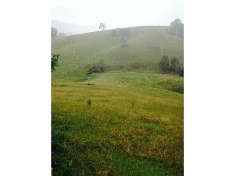 172 Smiths Creek Road, Uki NSW 2484